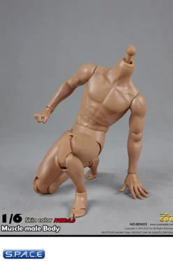 1/6 Scale Muscular Male Body 2.0