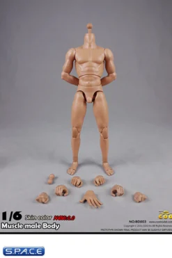 1/6 Scale Muscular Male Body 2.0