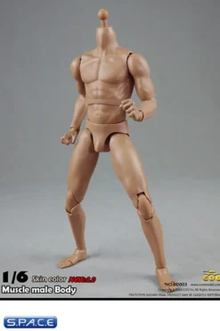 1/6 Scale Muscular Male Body 2.0
