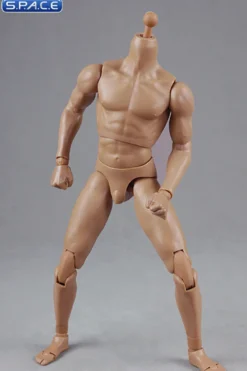 1/6 Scale Muscular Male Body 2.0