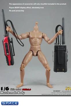 1/6 Scale Muscular Male Body 2.0