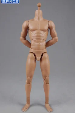 1/6 Scale Muscular Male high Body 2.0