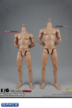 1/6 Scale Muscular Male high Body 2.0