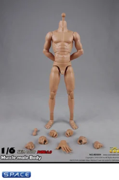 1/6 Scale Muscular Male high Body 2.0