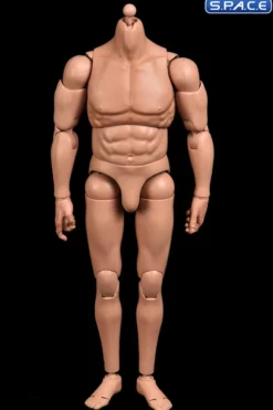 1/6 Scale muscular Real Type 6.0 Action Body Type-C