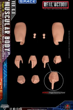 1/6 Scale muscular Real Type 6.0 Action Body Type-C