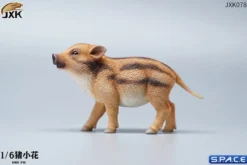 1/6 Scale Ono Pig