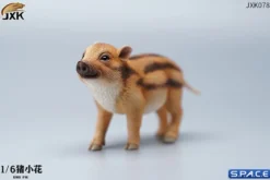 1/6 Scale Ono Pig
