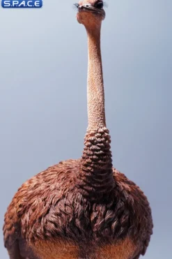 1/6 Scale Ostrich