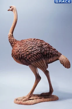 1/6 Scale Ostrich
