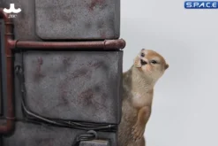 1/6 Scale Otter