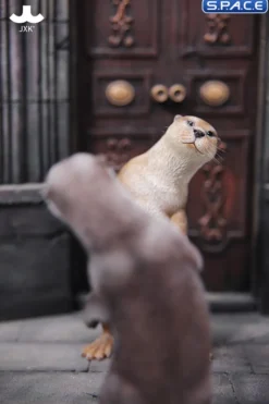 1/6 Scale Otter