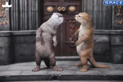 1/6 Scale Otter