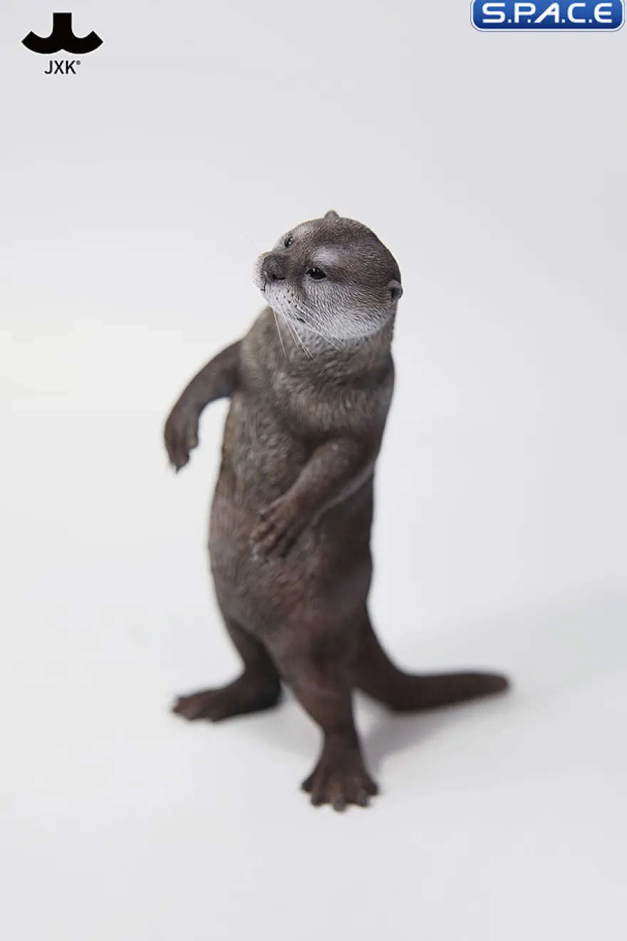 1/6 Scale Otter (grey)