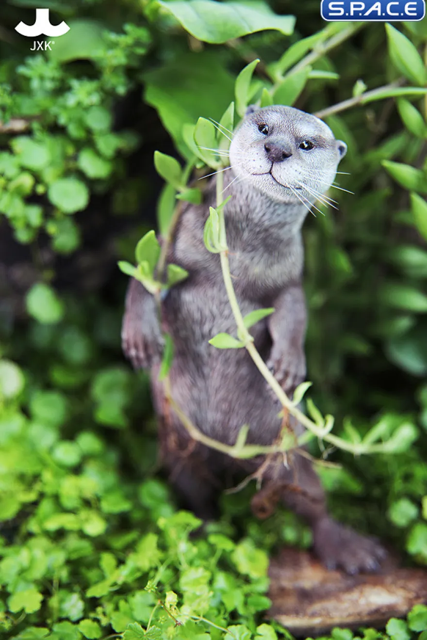 1/6 Scale Otter (grey)