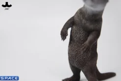 1/6 Scale Otter (grey)