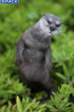 1/6 Scale Otter (grey)
