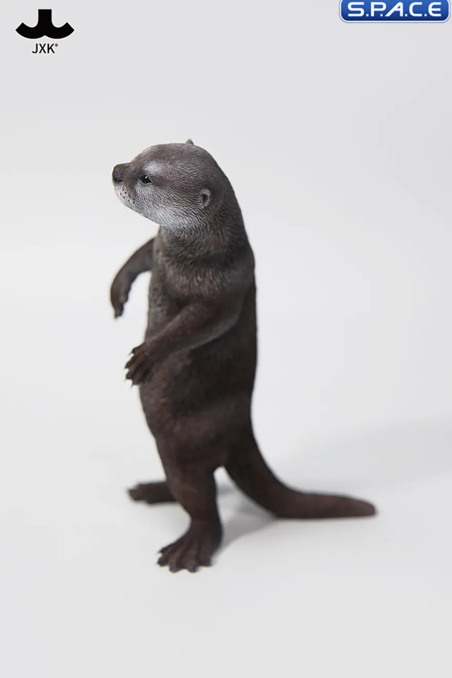 1/6 Scale Otter (grey)