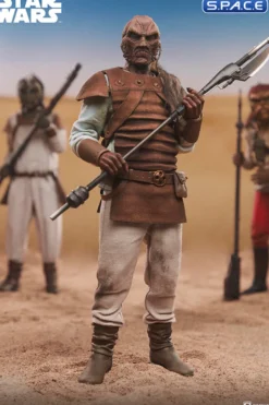 1/6 Scale Pagetti Rook Scum & Villainy
