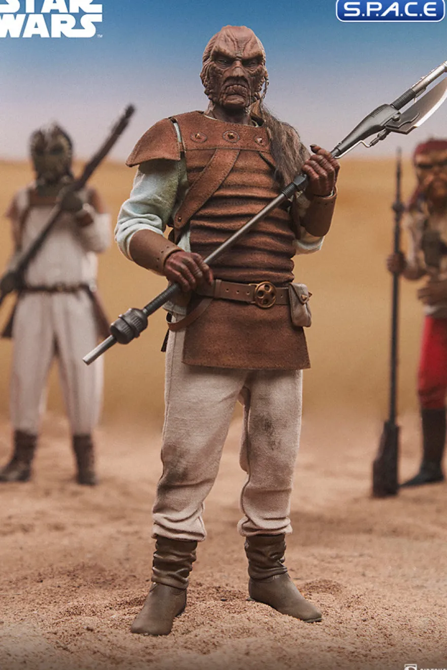 1/6 Scale Pagetti Rook Scum & Villainy