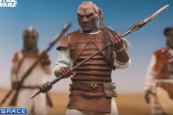 1/6 Scale Pagetti Rook Scum & Villainy