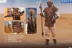 1/6 Scale Pagetti Rook Scum & Villainy