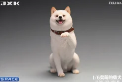 1/6 Scale Play Cute Shiba Inu