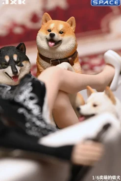 1/6 Scale Play Cute Shiba Inu