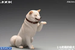 1/6 Scale Play Cute Shiba Inu