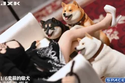 1/6 Scale Play Cute Shiba Inu