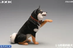 1/6 Scale Play Cute Shiba Inu