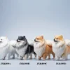1/6 Scale Pomeranian