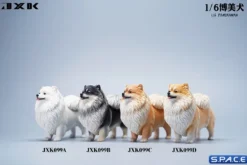 1/6 Scale Pomeranian
