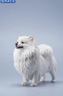 1/6 Scale Pomeranian