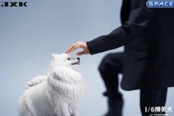 1/6 Scale Pomeranian