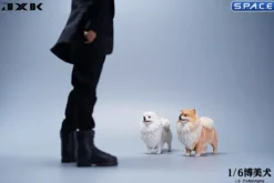 1/6 Scale Pomeranian