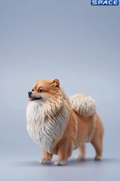 1/6 Scale Pomeranian (brown)