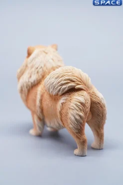 1/6 Scale Pomeranian (brown)