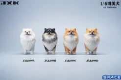 1/6 Scale Pomeranian (brown)