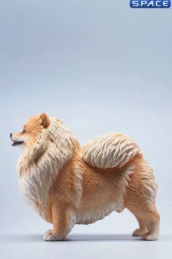 1/6 Scale Pomeranian (brown)