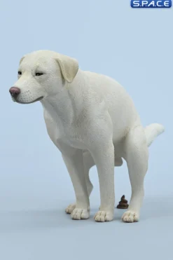 1/6 Scale pooping Labrador