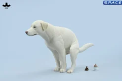 1/6 Scale pooping Labrador