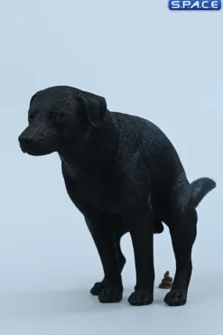 1/6 Scale pooping Labrador