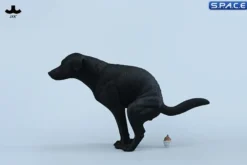 1/6 Scale pooping Labrador