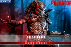 1/6 Scale Predator 2.0 Deluxe Version