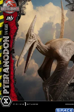 1/6 Scale Pteranodon Legacy Museum Collection Statue