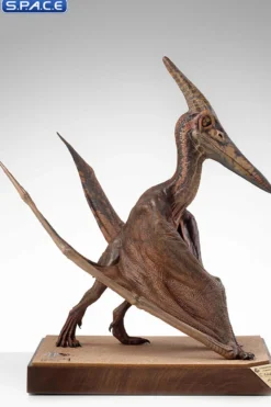 1/5 Scale Pteranodon Maquette