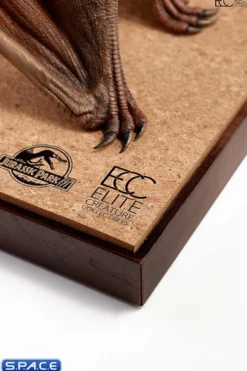 1/5 Scale Pteranodon Maquette