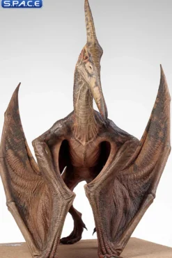 1/5 Scale Pteranodon Maquette