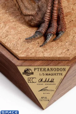 1/5 Scale Pteranodon Maquette